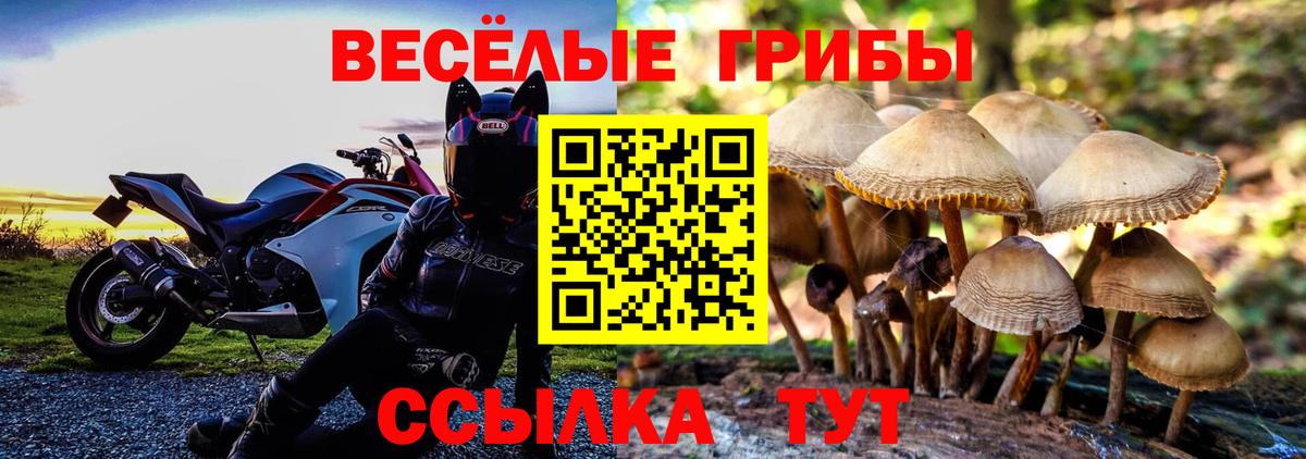 Псилоцибиновые грибы MAGIC MUSHROOMS Лысьва